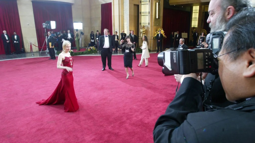 75th Oscars - Renee Zellweger carpet